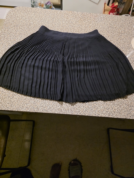 Ann Taylor Dresses & Skirts - Ann Taylor Black Pleated Circle Skirt